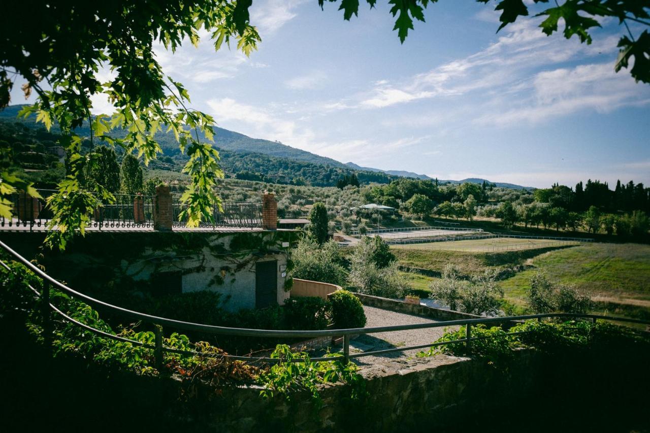 Fattoria Degli Usignoli