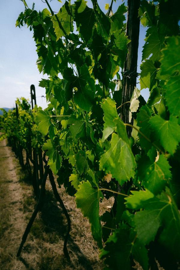 Fattoria Degli Usignoli Casa rural